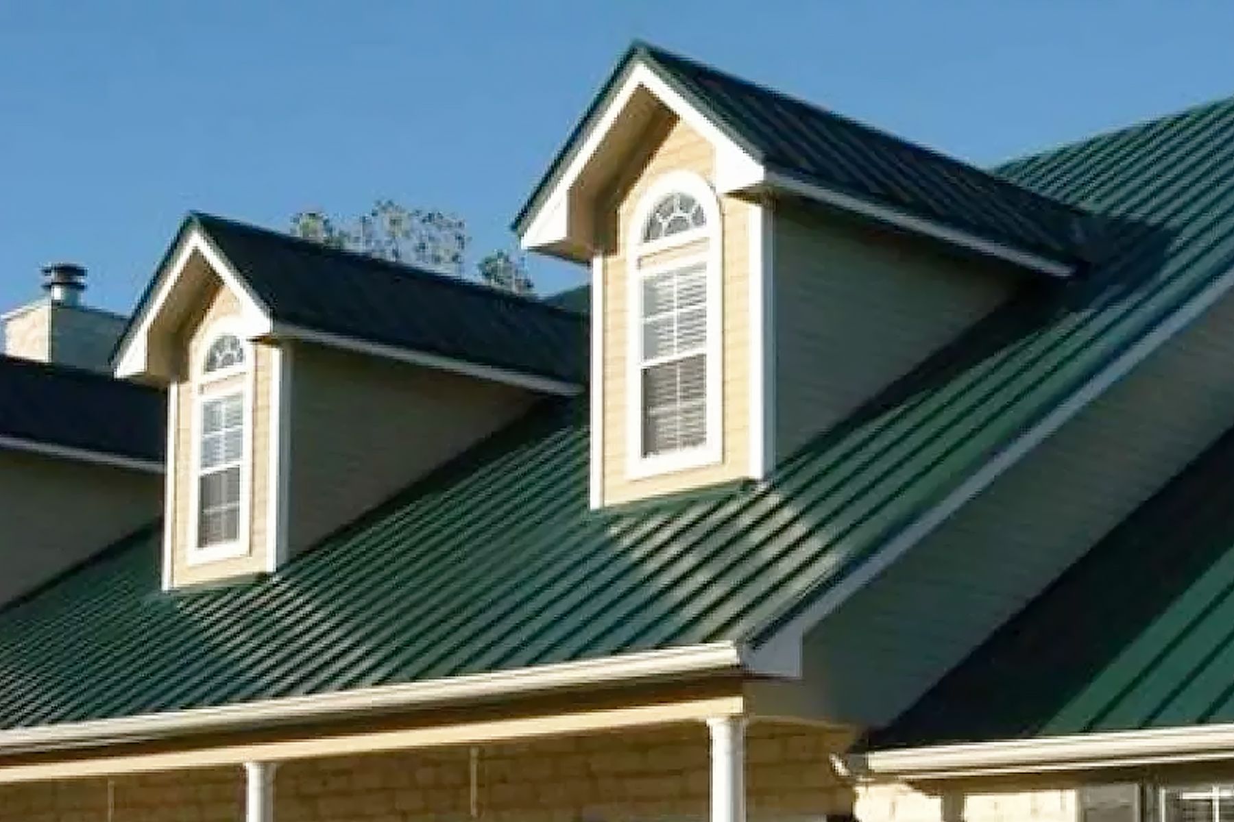 Зеленый мох