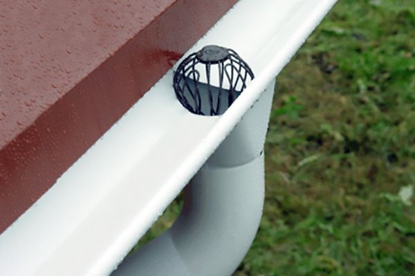 Паук водосточный