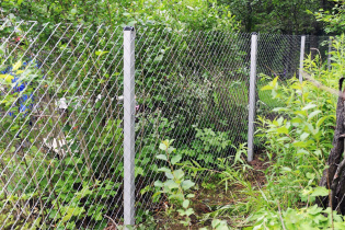 Заборы из сетки рабицы ЭКОНОМ 2 м